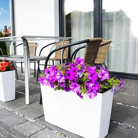 Apartmán Olivia Władysławowo