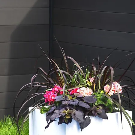 Apartmán Olivia Władysławowo