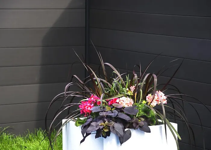 Апартаменты Olivia Владыславово